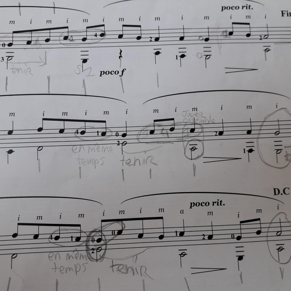 Notas de Viaje Vol.1 Aillers Marc Le Gard