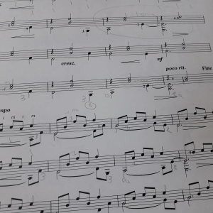 Notas de Viaje Vol.1 Aillers Marc Le Gard