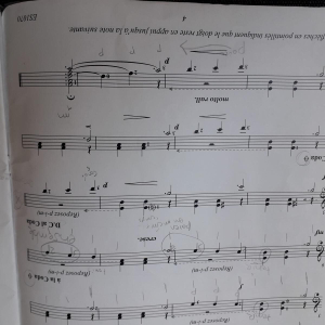 Notas de Viaje Vol.1 Aillers Marc Le Gard