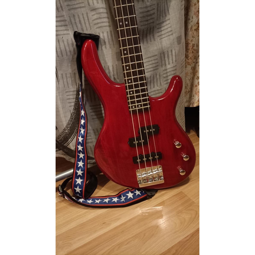 Bajo de 4 cuerdas Cort + amplificador Peavey + accesorios