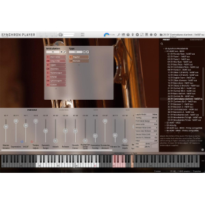 VSL - Biblioteca completa de clarinete contrabajo Synchron