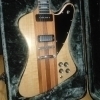 Firebird by luthier
