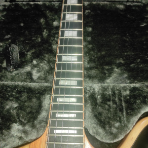 Firebird by luthier