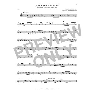 Colors Of The Wind (from Pocahontas)