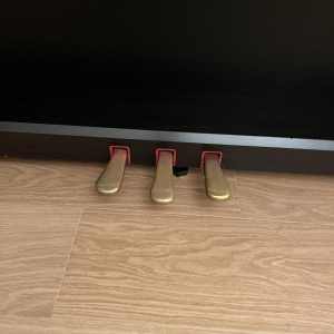 Clavinova CLP 220 - Piano digital Yamaha