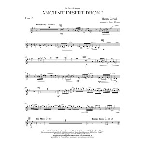 Ancient Desert Drone - Flute 2