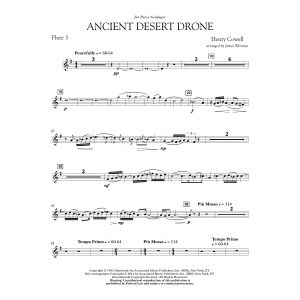 Ancient Desert Drone - Flute 3