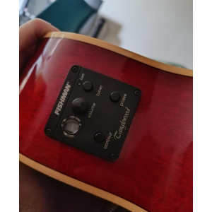 Tanglewood Electro Acoustic Guitar.