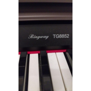 DELSON Ringway TG8852 - 88 keys