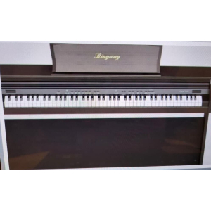 DELSON Ringway TG8852 - 88 teclas