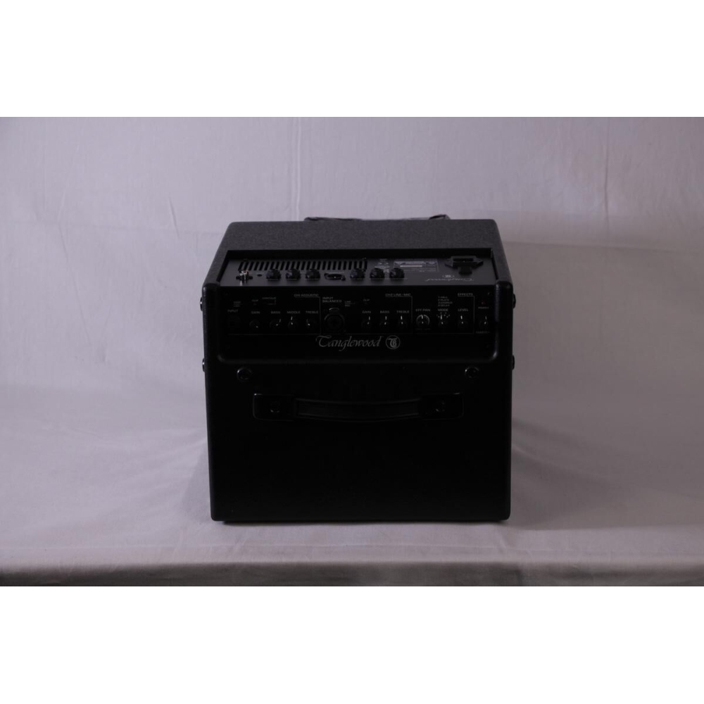 Tanglewood T6 Acoustic Amplifier + carrying case