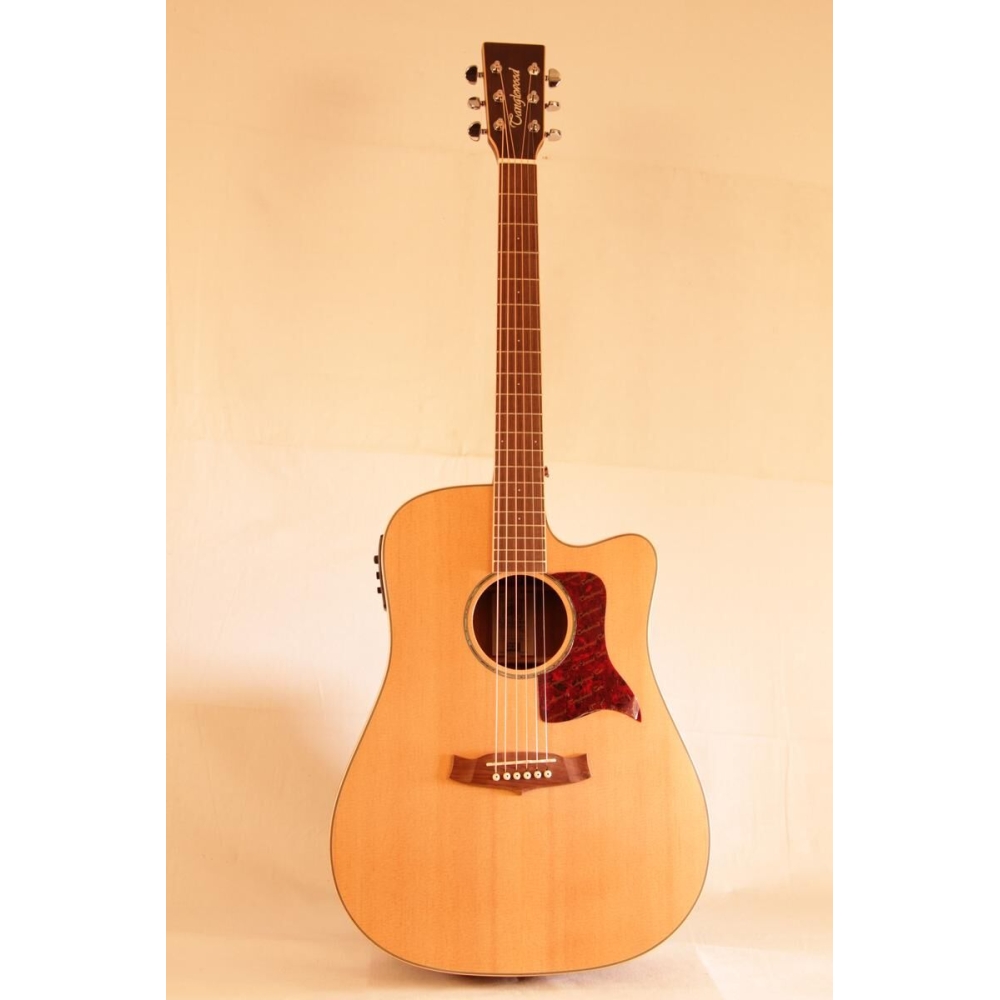 Tanglewood Sundance TW15ASCE LN + Funda