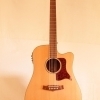 Tanglewood Sundance TW15ASCE LN + Case