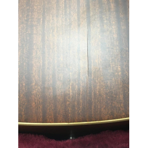 Tanglewood Sundance TW15ASCE LN + Case