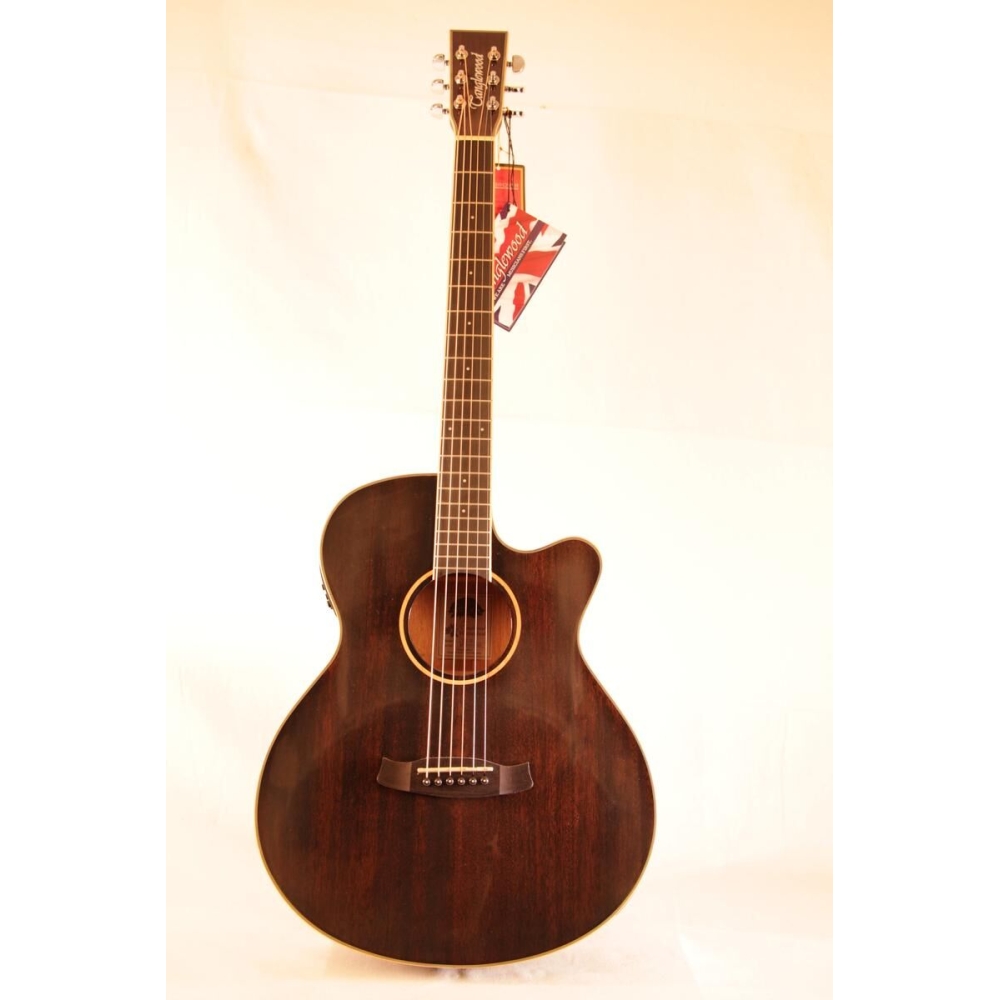 Tanglewood Winterleaf TW4 CE BS CN