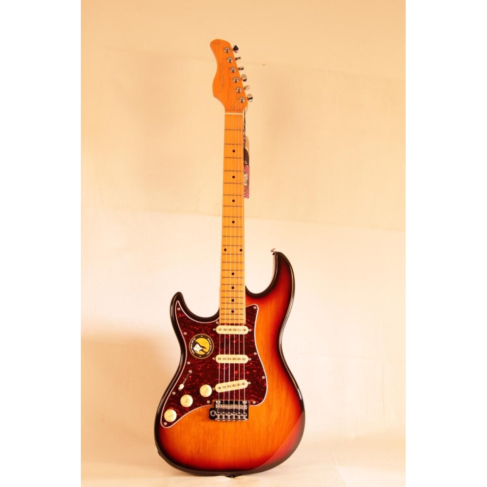 Larry Carlton S5 LH 3TS