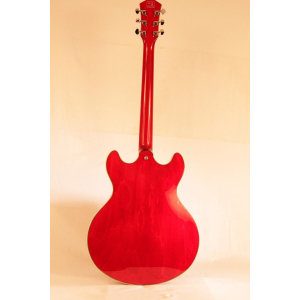 Larry Carlton H7 STR is an electric guitar model designed in collaboration with the renowned guitarist Larry Carlton. This versa