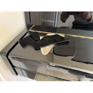 Rieger Kloss Piano vertical