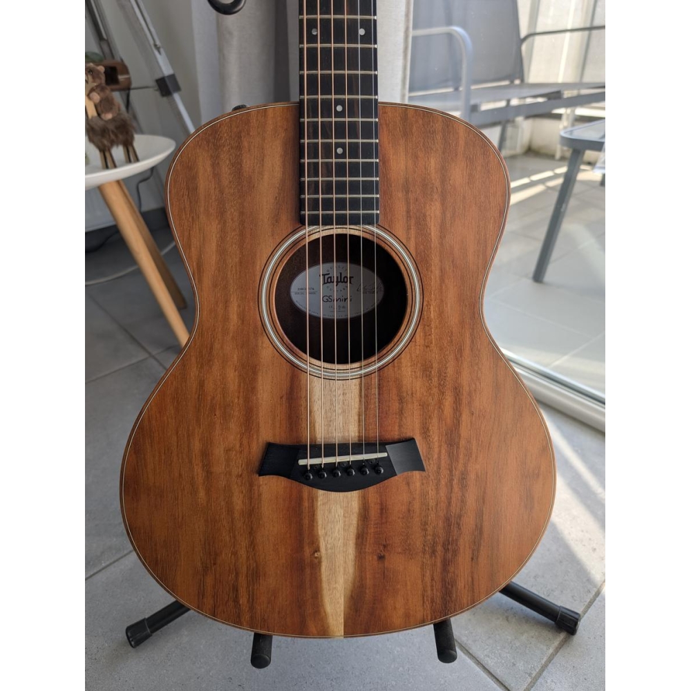 Taylor GS mini e-Koa X