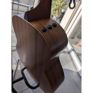 Taylor GS mini e-Koa X