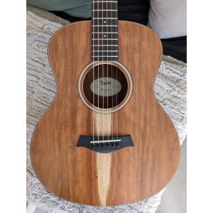 Taylor GS mini e-Koa X