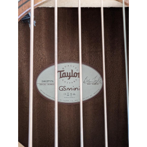 Taylor GS mini e-Koa X