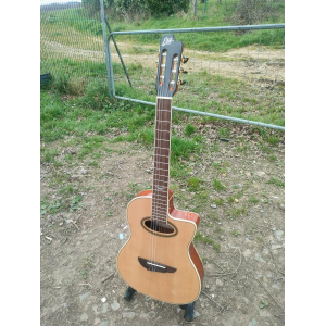 Guitarra electroacústica Eko