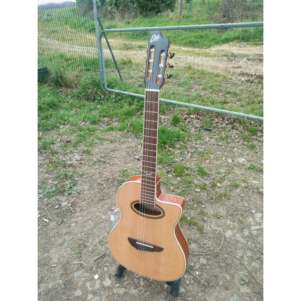 Eko Electro-Acoustic Guitar