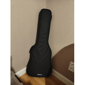 Eagletone Electro Acoustic Guitar + Amplifier + Accessories