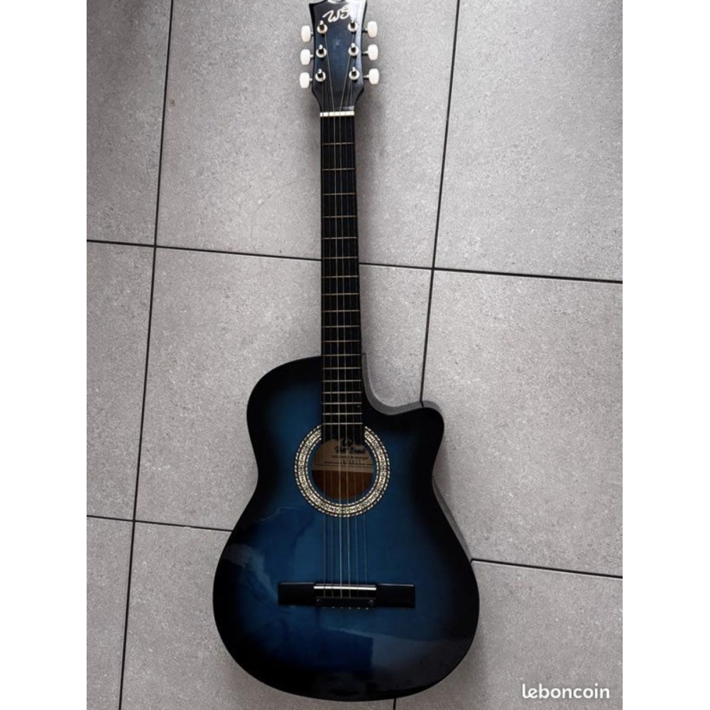 WS Acoustic Guitar