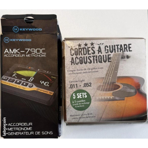 WS guitare acoustique