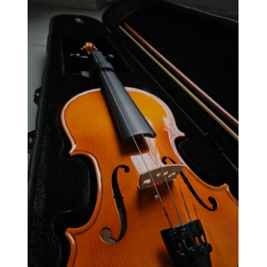 Stagg Violin 4/4