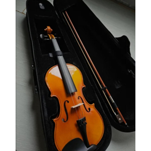 Stagg Violon 4/4
