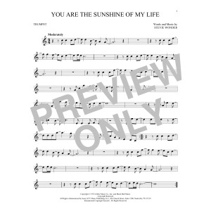 You Are The Sunshine Of My Life