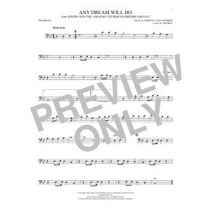 Any Dream Will Do (from Joseph and the Amazing Technicolor Dreamcoat)