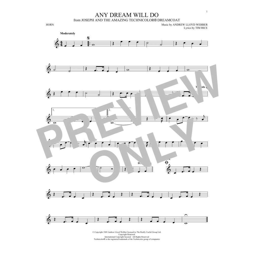 Any Dream Will Do (from Joseph and the Amazing Technicolor Dreamcoat)
