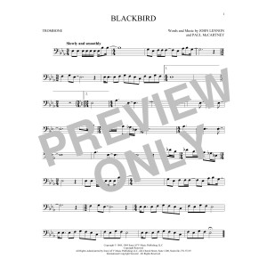 Blackbird