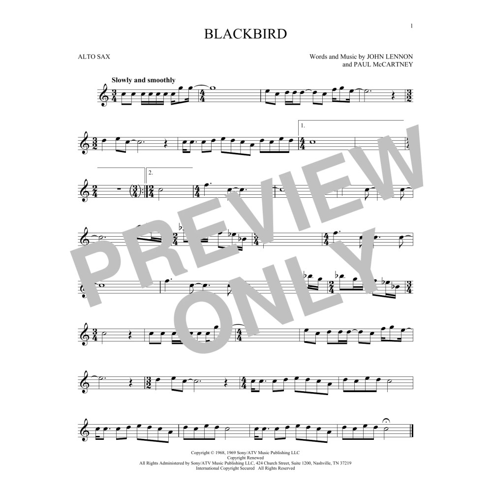 Blackbird