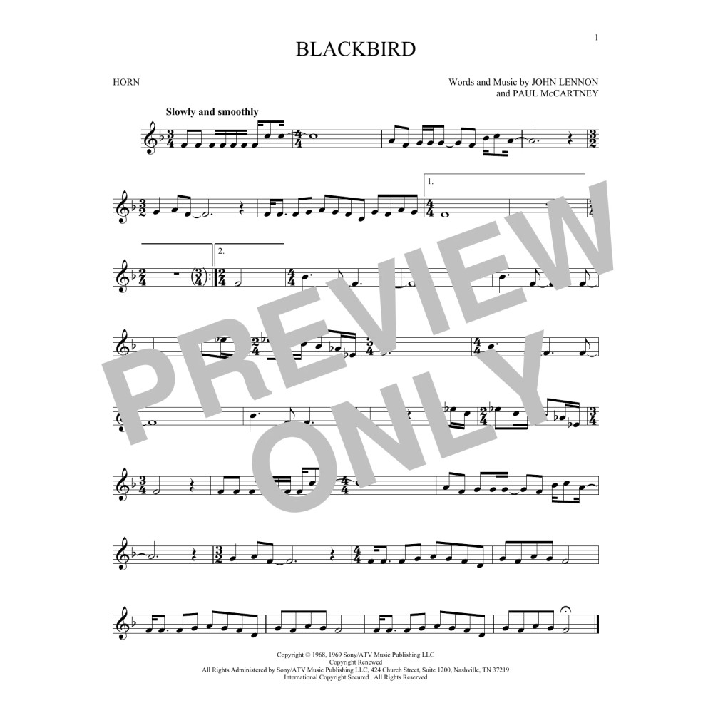 Blackbird