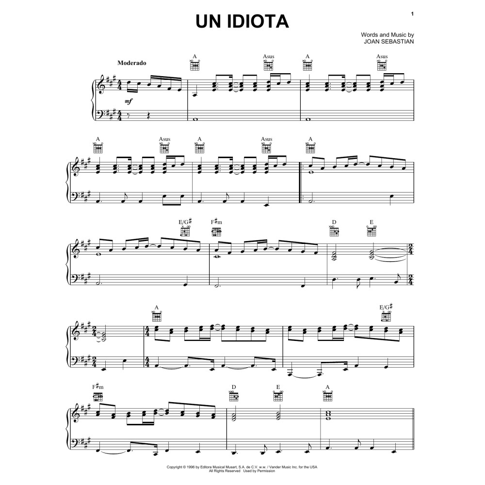 Un Idiota