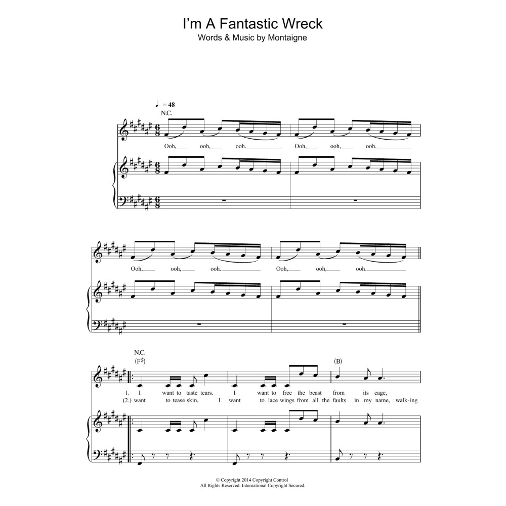 I'm A Fantastic Wreck