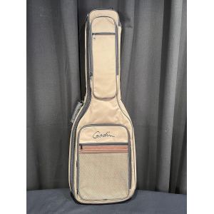 Godin Progression Vintage Burst