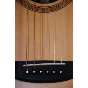 La Lakewood A-14 CP es una guitarra acústica de alta calidad con un sonido excepcional. Fabricada en Alemania con meticulosa 