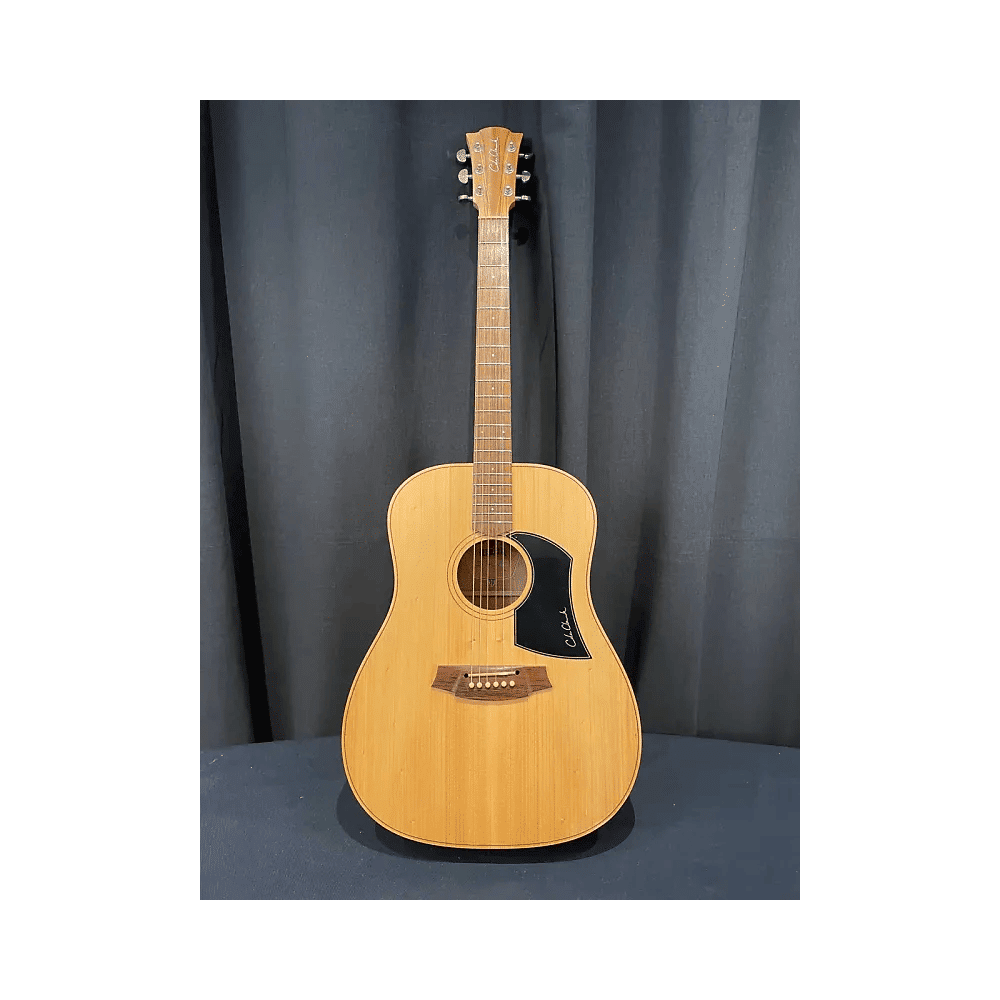 Cole Clark FL1 BM