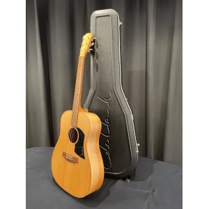 Cole Clark FL1 BM
