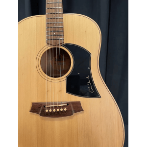 Cole Clark FL1 BM