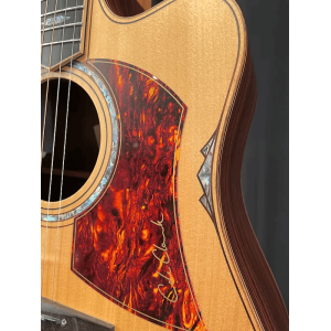 Cole Clark FL3A BR