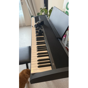 Korg B2 + chair and stool