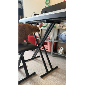 Korg B2 + chair and stool