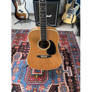 Martin D35 1982 avec étui